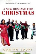 Watch A New Husband for Christmas Megashare9