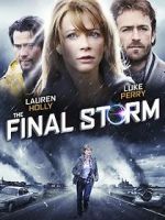 Watch The Final Storm Megashare9