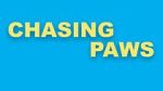 Watch Chasing Paws (Short 2020) Megashare9