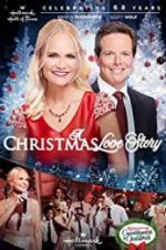 Watch A Christmas Love Story Megashare9