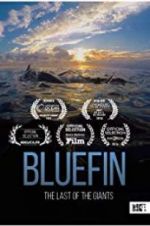 Watch Bluefin Megashare9