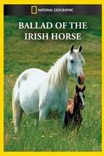 Watch Ballad of the Irish Horse Megashare9