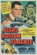 Watch Alias Boston Blackie Megashare9