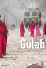 Watch Gulabi Gang Megashare9
