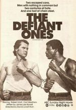 Watch The Defiant Ones Megashare9