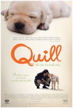 Watch Quill: The Life of a Guide Dog Megashare9