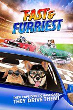 Watch Fast and Furriest Megashare9