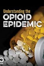 Watch Understanding the Opioid Epidemic Megashare9