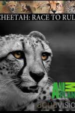 Watch Cheetah: Race to Rule Megashare9