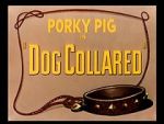 Watch Dog Collared (Short 1950) Megashare9