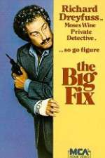 Watch The Big Fix Megashare9