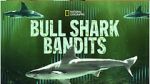 Watch Bull Shark Bandits Megashare9