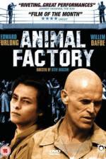 Watch Animal Factory Megashare9