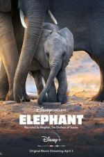 Watch Elephant Megashare9