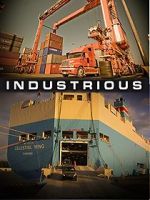 Watch Industrious Megashare9