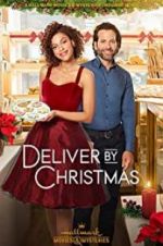 Watch Deliver by Christmas Megashare9