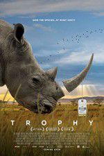 Watch Trophy Megashare9