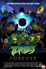 Watch Teenage Mutant Ninja Turtles Turtles Forever Megashare9