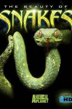 Watch The Beauty of Snakes Megashare9