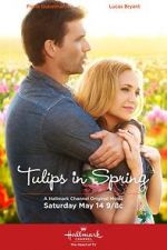 Watch Tulips in Spring Megashare9