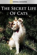 Watch The Secret Life of Cats Megashare9