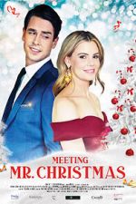 Watch Meeting Mr. Christmas Megashare9