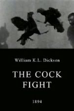 Watch The Cock Fight Megashare9