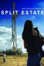 Watch Split Estate Megashare9