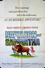 Watch Napoleon and Samantha Megashare9