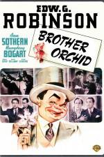 Watch Brother Orchid Megashare9