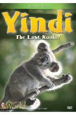 Watch Yindi the Last Koala Megashare9