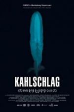 Watch Kahlschlag Megashare9