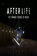 Watch After Life: The strange Science Of Decay Megashare9