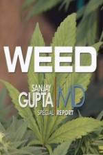 Watch CNN Weed Sanjay Gupta Report Megashare9