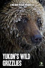 Watch Yukon\'s Wild Grizzlies Megashare9