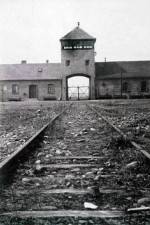 Watch AUSCHWITZ: FRENZIED KILLING Megashare9