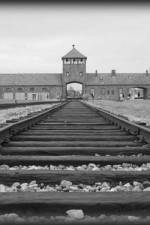 Watch AUSCHWITZ: ORDERS AND INITIATIVES Megashare9