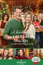 Watch Christmas in Evergreen: Tidings of Joy Megashare9