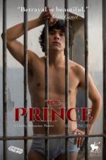 Watch The Prince Megashare9