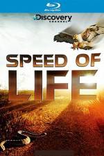 Watch Speed of Life Megashare9