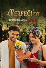 Watch A Perfect Fit Megashare9