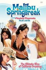 Watch Malibu Spring Break Megashare9