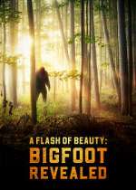 Watch A Flash of Beauty: Bigfoot Revealed M4ufree