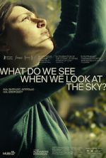 Watch What Do We See When We Look at the Sky? Megashare9
