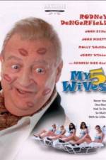 Watch My 5 Wives Megashare9