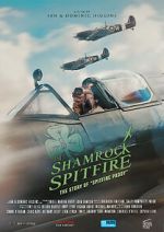 Watch The Shamrock Spitfire Megashare9