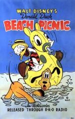 Watch Beach Picnic Megashare9