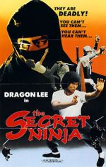 Watch Secret Ninja Megashare9