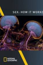 Watch Sex How It Works Megashare9