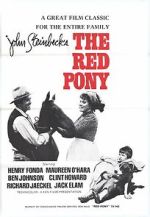 Watch The Red Pony Megashare9